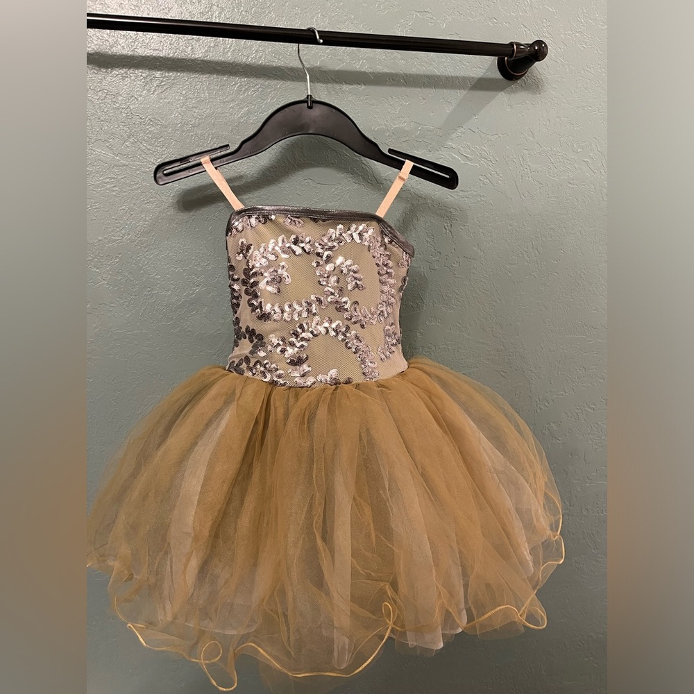 Elegant Gold and Silver Kids Ballet Costume Dress